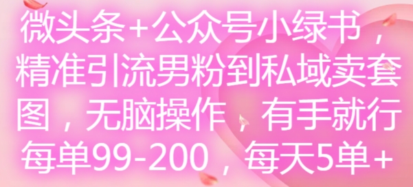 微头条+公众号小绿书，精准引流男粉到私域卖套图，无脑操作，有手就行，每单99-200，每天5单-Zv头条