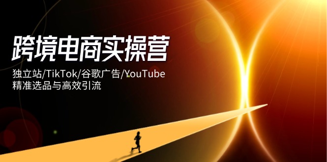 跨境电商实操营：独立站/TikTok/谷歌广告/YouTube，精准选品与高效引流-Zv头条