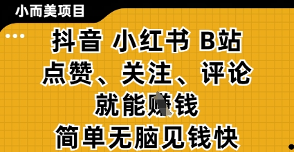 小而美的项目，抖音小红书B站视频点赞、关注、评论就能挣钱，简单无脑立见收益，妥妥的零撸项目【揭秘】-Zv头条