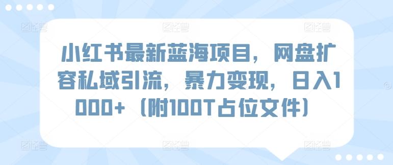 小红书最新蓝海项目，网盘扩容私域引流，暴力变现，日入1000+(附100T占位文件)【揭秘】-Zv头条